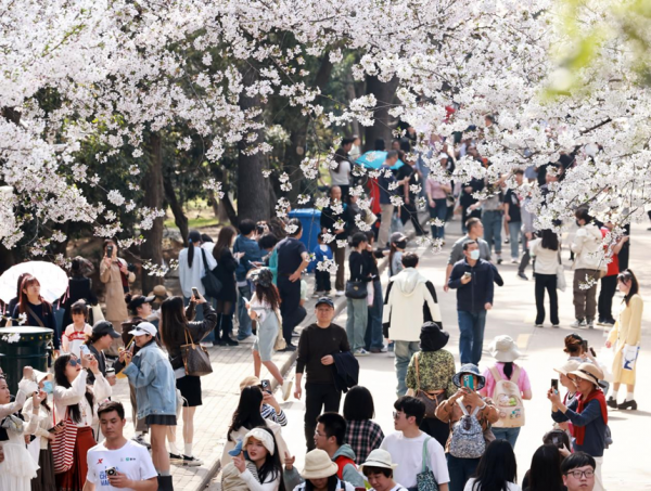 从“藏起 logo” 到 “晒出校园”,高职生的包摄感若何回来?